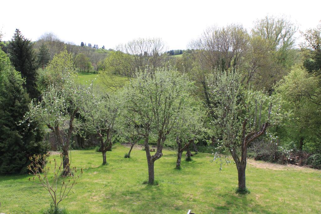 A L'Aube Des Volcans Hotell Charbonnières-les-Vieilles Exteriör bild