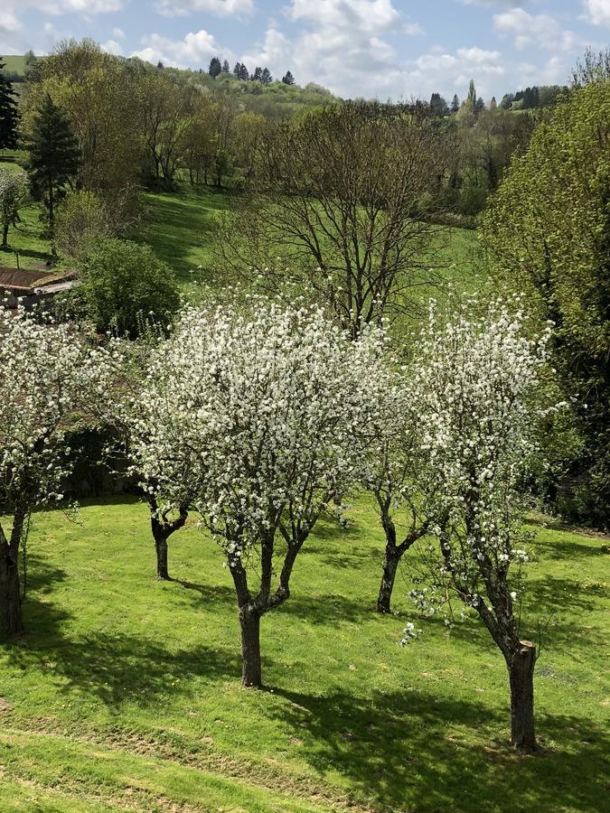 A L'Aube Des Volcans Hotell Charbonnières-les-Vieilles Exteriör bild